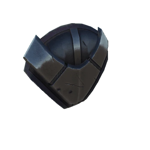 CSshield skin2